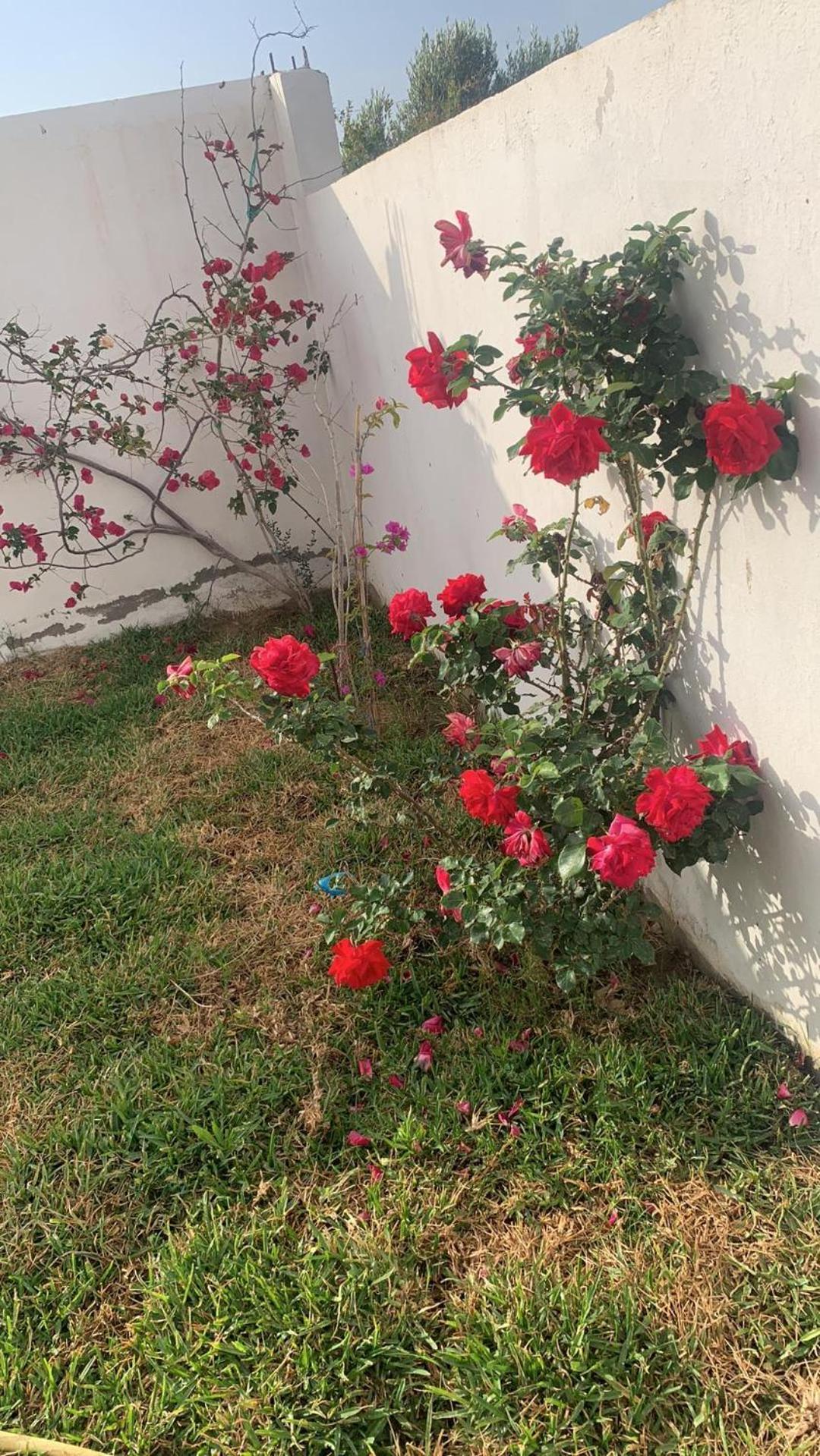 Apartment 5min De La Zone Touristique Hammamet